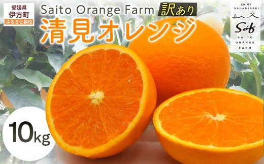 【先行予約】Saito Orange Farmの訳あり清見オレンジ10kg(2026年3月中旬頃より順次発送) 【 ふるさと納税 人気 おすすめ ランキング みかん ミカン 蜜柑 柑橘 清見 オレンジ 清見オレンジ フルー
