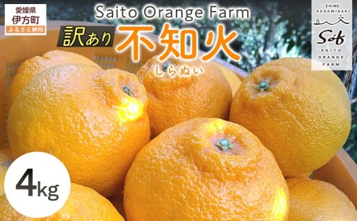 【先行予約】Saito Orange Farmの訳あり不知火4kg(2026年2月下旬頃より順次発送) 【 ふるさと納税 人気 おすすめ ランキング みかん ミカン 蜜柑 柑橘 不知火 しらぬい フルーツ 果物 産地直送
