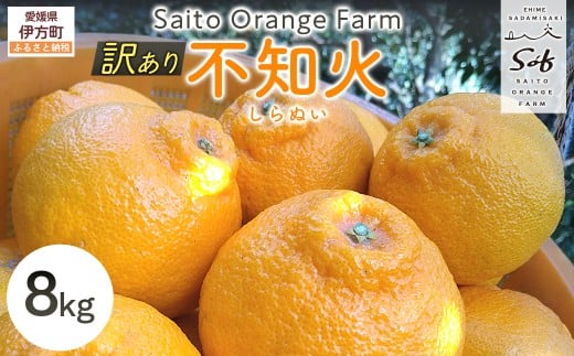 【先行予約】Saito Orange Farmの訳あり不知火8kg(2026年2月下旬頃より順次発送) 【 ふるさと納税 人気 おすすめ ランキング みかん ミカン 蜜柑 柑橘 不知火 しらぬい フルーツ 果物 産地直送