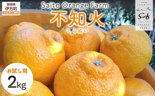 【先行予約】【お試し!】Saito Orange Farmの不知火2kg(2026年2月下旬頃より順次発送) 【 ふるさと納税 人気 おすすめ ランキング みかん ミカン 蜜柑 柑橘 不知火 しらぬい フルーツ 果物 産地