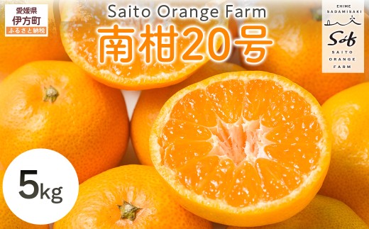 ys\zSaito Orange Farm̓승205kgi2025N12{菇j y ӂ邳Ɣ[ lC  LO ݂ ~J  k 20 t[c ʕ Yn Fa Saito