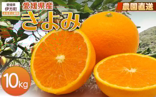 【栽培期間中農薬不使用】【先行受付】【数量限定】農園直送!愛媛県産 きよみ 10kg (2026年2月下旬頃より順次発送) 【 ふるさと納税 人気 おすすめ ランキング 柑橘 みかん ミカン 蜜柑