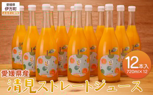 【栽培期間中農薬不使用】清見ストレートジュース 720ml×12本入り ※離島への配送不可 【 ふるさと納税 人気 おすすめ ランキング 柑橘 みかん ミカン 蜜柑 ジュース ミカンジュース オレン