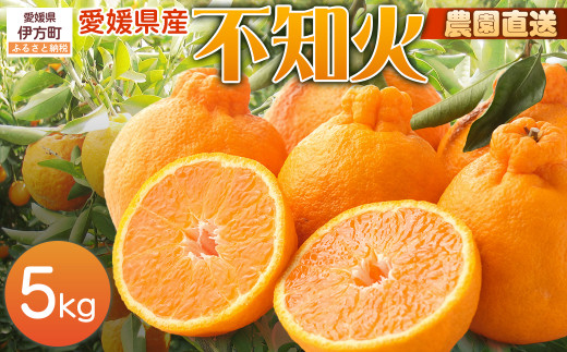 【栽培期間中農薬不使用】【先行受付】【数量限定】農園直送!愛媛県産不知火 5kg (2026年1月上旬頃より順次発送) 【 ふるさと納税 人気 おすすめ ランキング 柑橘 みかん ミカン 蜜柑 不