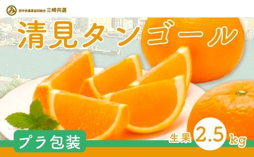 清見タンゴール(Pプラ包装・生果2.5kg)※離島への配送不可 【 ふるさと納税 人気 おすすめ ランキング 柑橘 みかん ミカン 清見 清見タンゴール mikan 蜜柑 果物 生果 フルーツ 愛媛県産 愛