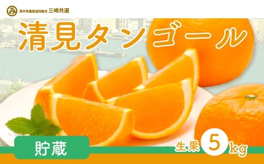【先行予約】清見タンゴール(貯蔵・生果5kg)※離島への配送不可(2026年4月下旬〜5月上旬頃に順次発送予定) 【 ふるさと納税 人気 おすすめ ランキング 柑橘 みかん ミカン 清見 清見タ