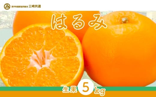 【先行予約】【数量限定】はるみ(生果5kg)※離島への配送不可(2026年1月下旬〜2月上旬頃に順次発送予定) 【 ふるさと納税 人気 おすすめ ランキング 柑橘 みかん ミカン はるみ mikan 蜜