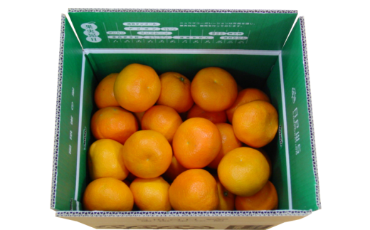 ys\zYnIQY悩 5kgi2026N1{甭\j y ӂ邳Ɣ[ lC  LO ݂ ~J  悩 t[c ʕ Yn jEY Q