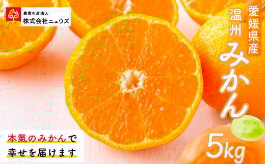 【先行予約】温州みかん(生果)5kg(2025年11月上旬より順次発送) 【 ふるさと納税 人気 おすすめ ランキング みかん ミカン 蜜柑 温州みかん 温州ミカン フルーツ 果物 産地直送 ニュウズ