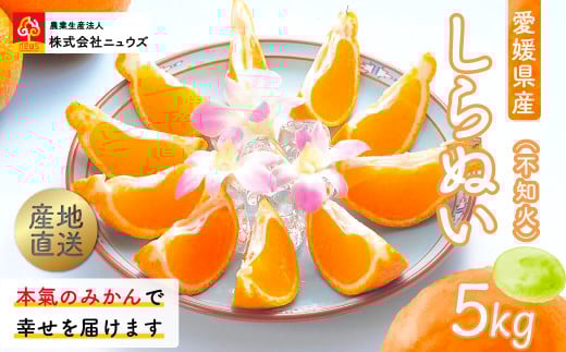 【先行予約】産地直送!愛媛県産しらぬい(不知火) 5kg(2026年2月中旬より順次発送) 【 ふるさと納税 人気 おすすめ ランキング みかん ミカン 蜜柑 しらぬい 不知火 フルーツ 果物 産地