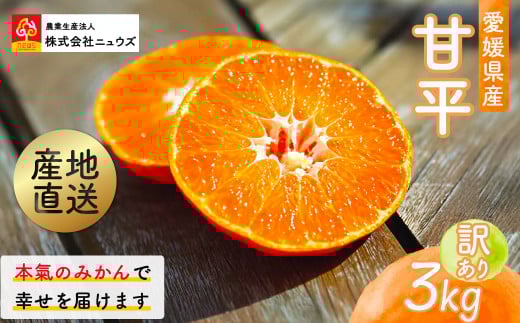 ys\zYnIQYÕ 3kgi󂠂ji2026N1{蔭\j y ӂ邳Ɣ[ lC  LO ݂ ~J  Õ 󂠂 t[c ʕ Yn j