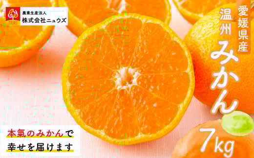 【先行予約】産地直送!愛媛県産温州みかん 7kg(2025年11月上旬より順次発送) 【 ふるさと納税 人気 おすすめ ランキング みかん ミカン 蜜柑 温州みかん 温州ミカン フルーツ 果物 産地直