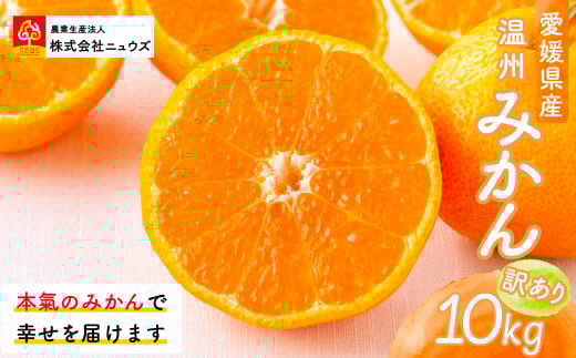 【先行予約】【訳あり】温州みかん 10kg ※離島への配送不可(2025年11月上旬より順次発送) 【 ふるさと納税 人気 おすすめ ランキング みかん ミカン 蜜柑 温州みかん 温州ミカン 訳あり フ