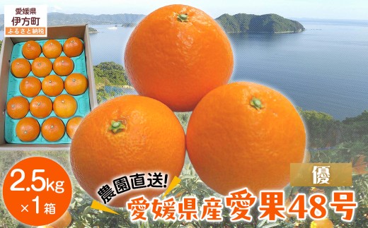 【先行予約】【数量限定】【優】\農園直送/愛媛県産愛果48号 約2.5kg(2026年2月下旬より順次発送) 【 ふるさと納税 人気 おすすめ ランキング 柑橘 みかん ミカン 蜜柑 愛果48号 果物 フル
