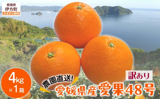 【先行予約】【数量限定】【訳あり】\農園直送/愛媛県産愛果48号 約4kg(2026年2月下旬より順次発送) 【 ふるさと納税 人気 おすすめ ランキング 柑橘 みかん ミカン 蜜柑 愛果48号 果物