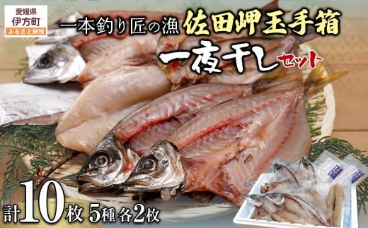 y{ނ ̋zc ʎ蔠Zbg 5×e2iv10j y ӂ邳Ɣ[ lC  LO  AW  To  ӂ   銱 銱 AW