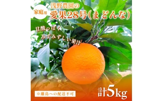 【先行予約】【数量限定】浅野農園の愛果28号(まどんな)家庭用5kg※離島への配送不可(2025年12月中旬〜2026年1月中旬頃に順次発送予定) 【 ふるさと納税 人気 おすすめ ランキング 柑橘