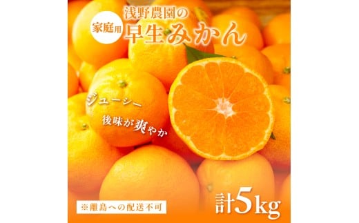 【先行予約】浅野農園の早生みかん 家庭用5kg ※着日指定不可 ※離島への配送不可(2025年11月上旬〜11月中旬頃に順次発送予定) 【 ふるさと納税 人気 おすすめ ランキング みかん 柑橘 ミ