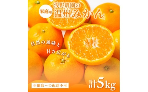 【先行予約】浅野農園の温州みかん 家庭用5kg ※離島への配送不可(2025年12月上旬〜12月中旬頃に順次発送予定 ) 【 ふるさと納税 人気 おすすめ ランキング みかん 柑橘 ミカン 蜜柑 mikan 果