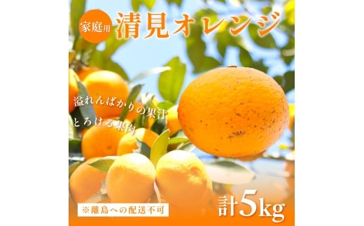 【先行予約】【家庭用】清見オレンジ計5kg ※離島への配送不可(2026年3月上旬頃より順次発送予定) 【 ふるさと納税 人気 おすすめ ランキング みかん 柑橘 ミカン 蜜柑 mikan 果物 フルーツ