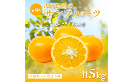 【先行予約】【家庭用】浅野農園のサンフルーツ5kg ※離島への配送不可(2026年4月中旬頃より順次発送予定) 【 ふるさと納税 人気 おすすめ ランキング 柑橘 みかん ミカン オレンジ  サン