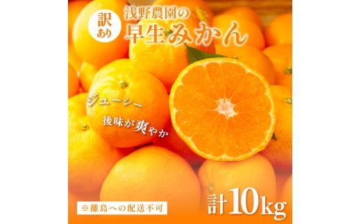 【先行予約】浅野農園の早生みかん 訳あり10kg ※離島への配送不可(2025年11月上旬〜11月中旬頃に順次発送予定)  【 ふるさと納税 人気 おすすめ ランキング 柑橘 みかん ミカン オレンジ