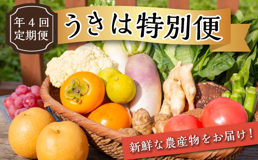 【年4回定期便】うきは特別便 季節の特産品詰め合わせ 各2kg×4回 (1月・6月・8月・11月) お届け福岡県うきは市67000野菜・きのこその他 野菜