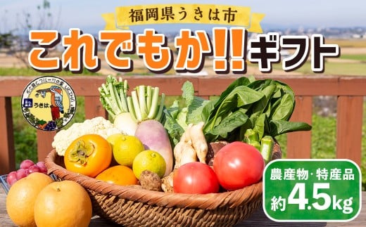 道の駅 うきは これでもか!! ギフト (新鮮な農産物・特産品 約4.5kg) 野菜 ベジタブル 果物 くだもの フルーツ 農産物 特産品 特産 新鮮 フレッシュ 朝採れ 詰め合わせ 詰合せ セット ミ