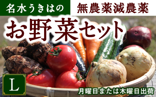 UIC 名水うきはの無農薬減農薬お野菜セットL福岡県うきは市20000野菜・きのこその他 野菜