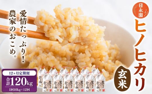 【12ヶ月定期便】日永園 ヒノヒカリ 玄米 10kg×12ヶ月 【2025年11月下旬より発送予定】 米 お米 ご飯  うきは市福岡県うきは市378000米・パン玄米・雑穀米・もち米・餅