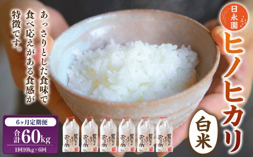 【6ヶ月定期便】日永園 ヒノヒカリ 白米10kg×6ヶ月 【2025年11月下旬より発送予定】 米 お米 ご飯  うきは市福岡県うきは市192000米・パン玄米・雑穀米・もち米・餅