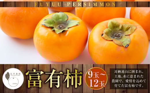 【先行予約】石井農園 富有柿 9玉から12玉 2025年11月中旬から12月上旬 出荷予定福岡県うきは市12000果物・フルーツその他 果物・フルーツ