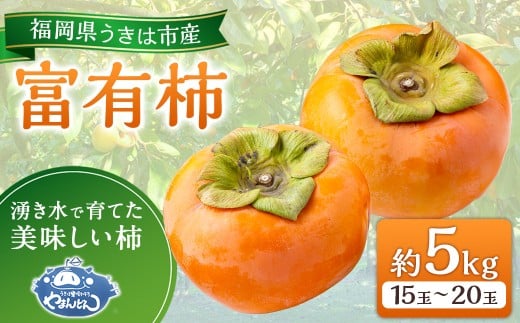 【先行予約】やまんどん 富有柿 15玉から20玉 2025年11月下旬から12月上旬 出荷予定福岡県うきは市14000果物・フルーツその他 果物・フルーツ