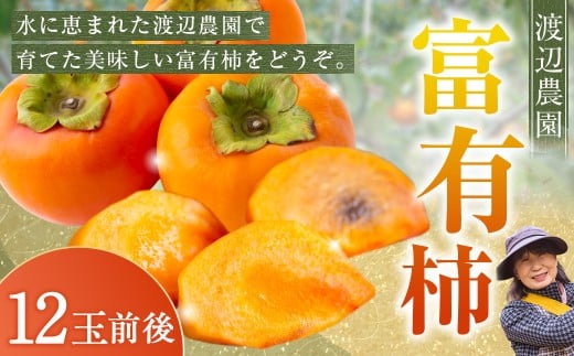 【先行予約】渡辺農園 富有柿 12玉前後 2025年11月中旬から12月上旬 出荷予定福岡県うきは市16000果物・フルーツその他 果物・フルーツ