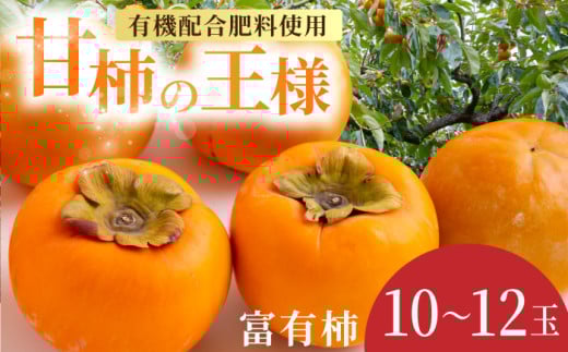 【先行予約】有機配合肥料使用 富有柿 10玉から12玉 2025年11月上旬から11月下旬 出荷予定【春光園】 柿 かき 甘柿 甘い 果物 フルーツ福岡県うきは市11000果物・フルーツその他 果物・フルー