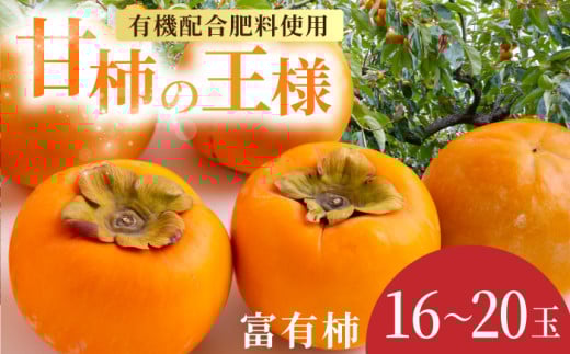 【先行予約】有機配合肥料使用 富有柿 16玉から20玉 2025年11月上旬から11月下旬 出荷予定【春光園】 柿 かき 甘柿 甘い 果物 フルーツ福岡県うきは市16000果物・フルーツその他 果物・フルー