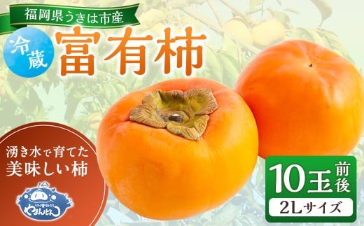 【先行予約】やまんどん 冷蔵富有柿 2Lサイズ 10玉前後 2025年12月中旬から12月下旬 出荷予定福岡県うきは市13000果物・フルーツその他 果物・フルーツ