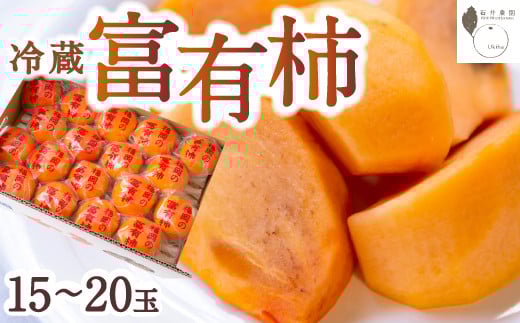 石井農園 冷蔵富有柿 15玉から20玉 2025年12月中旬から2026年3月31日 出荷予定福岡県うきは市15000果物・フルーツその他 果物・フルーツ