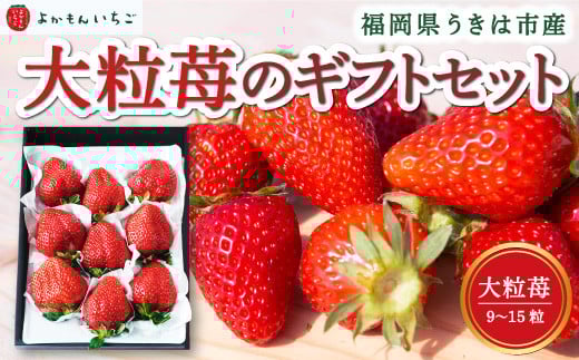 よかもんいちご 大粒苺のギフトセットA 2026年2月発送 いちご イチゴ 苺 大粒 フルーツ 果物 贈答 贈り物 ギフト 令和7年 九州 福岡 うきは市福岡県うきは市17000果物・フルーツいちご