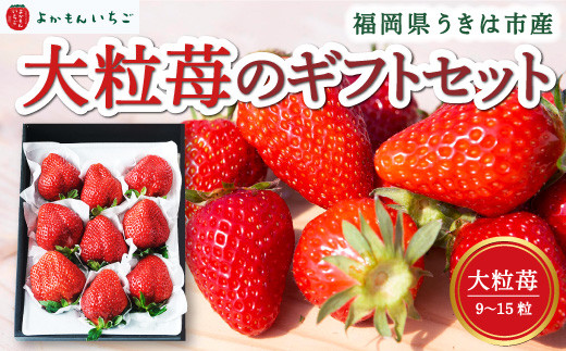 よかもんいちご 大粒苺のギフトセットA 2026年4月発送 いちご イチゴ 苺 大粒 フルーツ 果物 贈答 贈り物 ギフト 令和7年 九州 福岡 うきは市福岡県うきは市17000果物・フルーツいちご