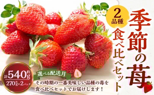 よかもんいちご 2品種食べ比べセット 2026年4月発送 いちご イチゴ 苺 2種 フルーツ 果物 贈答 贈り物 ギフト 令和7年 九州 福岡 うきは市福岡県うきは市13000果物・フルーツいちご