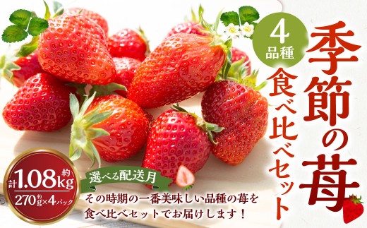 よかもんいちご 4品種食べ比べセット  2026年2月発送 いちご イチゴ 苺 4種 フルーツ 果物 贈答 贈り物 ギフト 令和7年 九州 福岡 うきは市福岡県うきは市19000果物・フルーツいちご