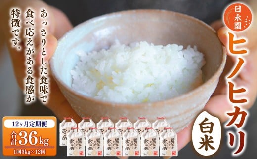 【定期便】日永園 ヒノヒカリ 白米3kg×12ヶ月 【2025年11月下旬より発送予定】 米 お米 ご飯  うきは市福岡県うきは市148000米・パン白米