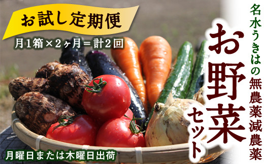 【お試し定期便】UIC 名水うきはの無農薬減農薬お野菜セット (ひと月1箱×2か月=計2回)福岡県うきは市35000野菜・きのこその他 野菜