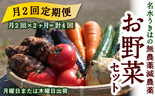 【月2回定期便】UIC 名水うきはの無農薬減農薬お野菜セット (ひと月2回×2か月=計4回)福岡県うきは市70000野菜・きのこその他 野菜