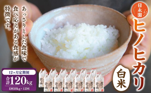 【定期便】日永園 ヒノヒカリ 白米 10kg×12ヶ月 【2025年11月下旬より発送予定】 米 お米 ご飯  うきは市福岡県うきは市378000米・パン白米