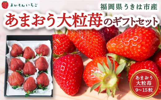 よかもんいちご あまおう大粒苺のギフトセットA 【2026年2月 発送予定】 あまおう いちご イチゴ 苺 よかもん苺 朝摘み 穫れたて 果物 くだもの フルーツ デザート 福岡県 うきは市福岡県う