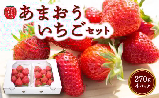よかもんいちご あまおう苺セット4パック 【2026年3月 発送予定】 あまおう いちご イチゴ 苺 よかもん苺 朝摘み 穫れたて 果物 くだもの フルーツ デザート 福岡県 うきは市福岡県うきは市19