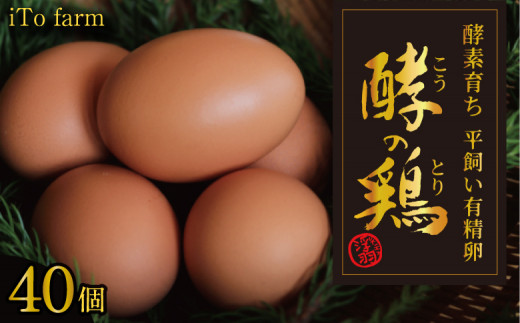 iTo farm 酵の鶏 40個福岡県うきは市24000卵・乳製品卵(鶏、烏骨鶏等)
