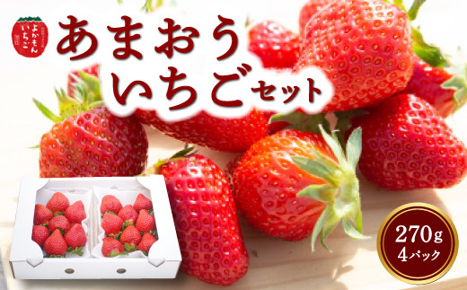 よかもんいちご あまおう苺セット4パック 【2025年12月 発送予定】 あまおう いちご イチゴ 苺 よかもん苺 朝摘み 穫れたて 果物 くだもの フルーツ デザート 福岡県 うきは市福岡県うきは市1
